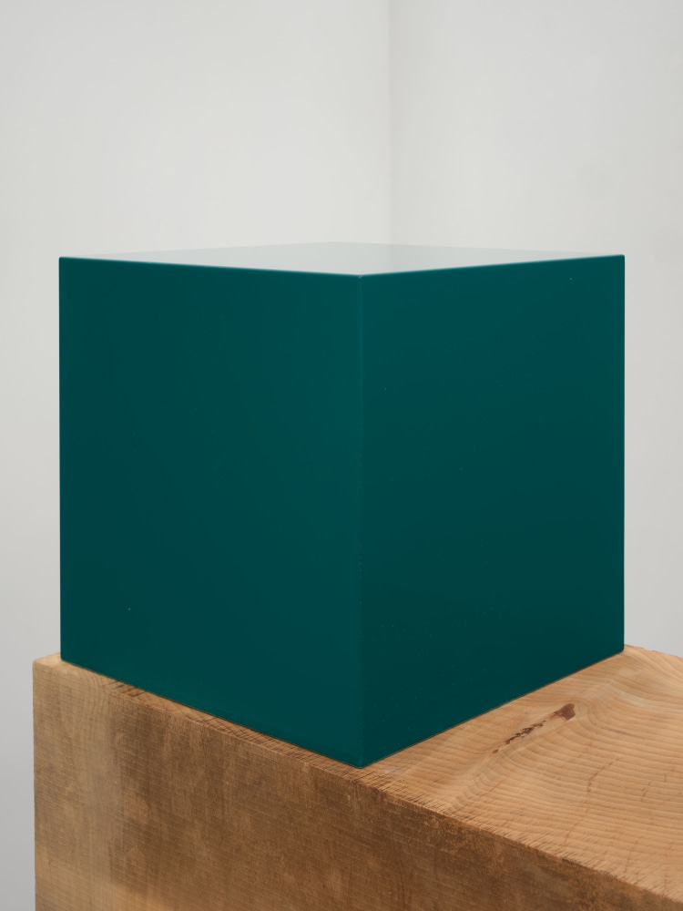 Jesse Schlesinger Untitled (new ways of thinking about all of it), 2023 Deodar Cedar, acrylic paint on Redwood (salvaged), enamel paint and fiberboard 53 1/2 x 41 1/2 x 16 inches 135.9 x 105.4 x 40.6 cm