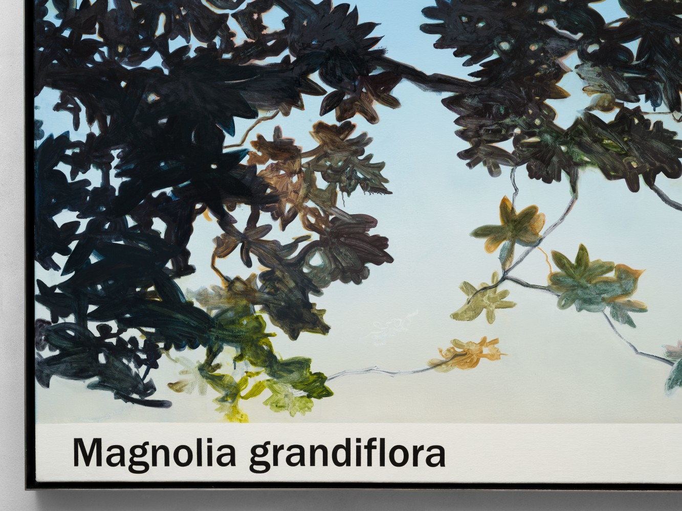 Rob Reynolds  &quot;Magnolia&quot;, 2021  Oil, alkyd and acrylic polymer paint on canvas in welded aluminum artist's frame,  Framed Dimensions:  48 3/4 x 60 3/4 inches