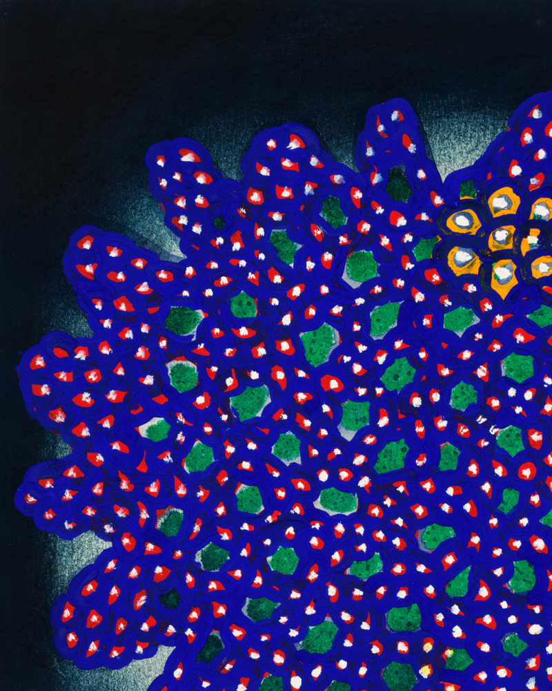 Yayoi Kusama Nets Flower no. Q121, 1953 / 1964 Gouache on paper 13 3/8 x 11 5/8 inches 33.5 x 29.5 cm