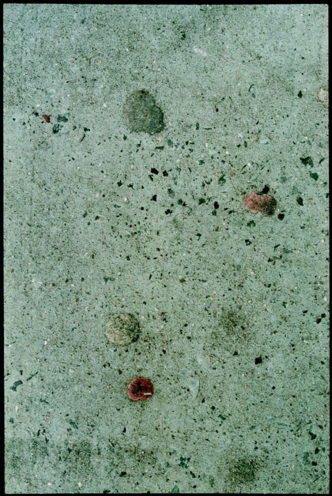 Zoe Leonard, Bubblegum No. 4, 2000/2003