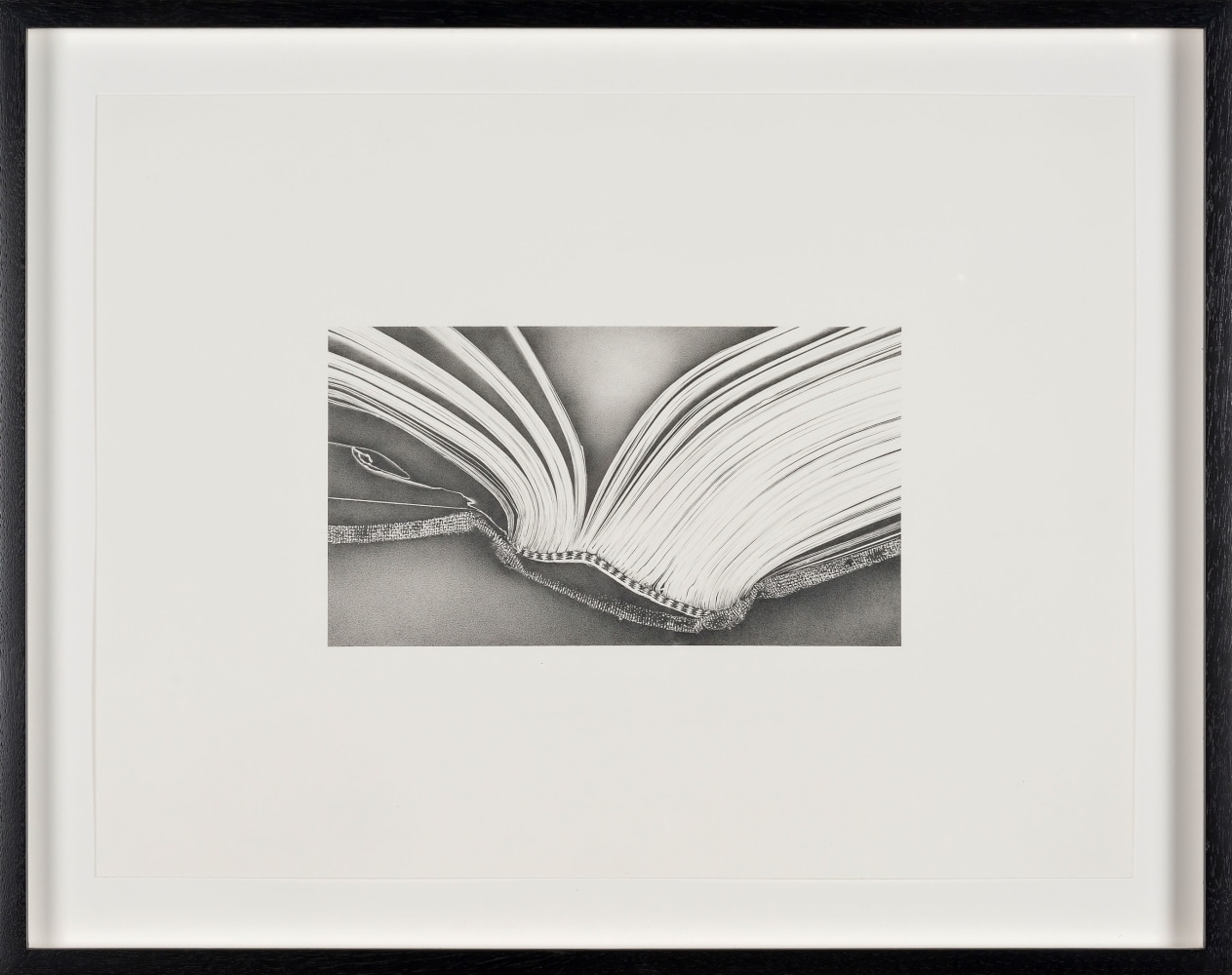 Rosana Castrillo Díaz, Untitled RCD# 5/2/2009, 2009