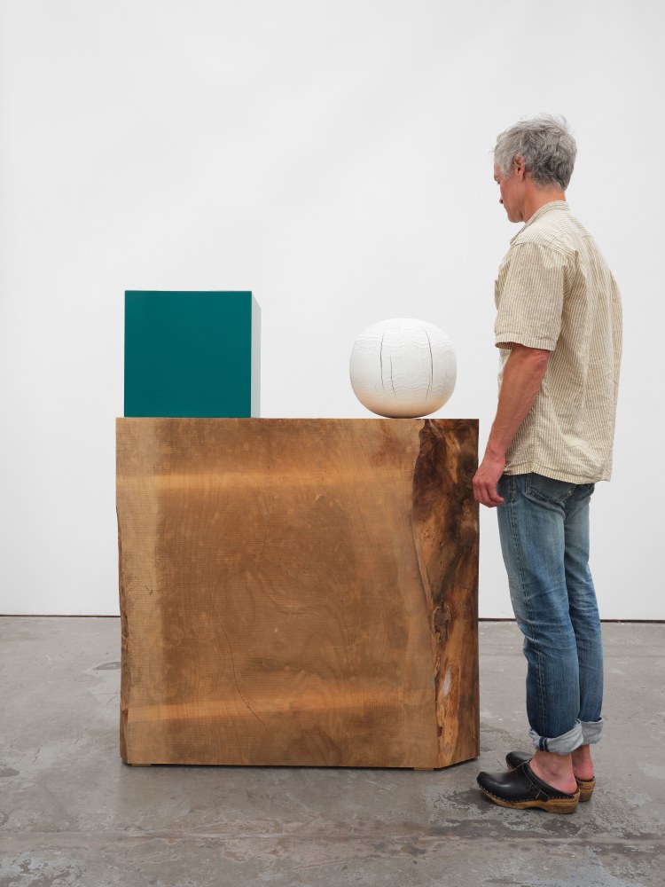 Jesse Schlesinger Untitled (new ways of thinking about all of it), 2023 Deodar Cedar, acrylic paint on Redwood (salvaged), enamel paint and fiberboard 53 1/2 x 41 1/2 x 16 inches 135.9 x 105.4 x 40.6 cm