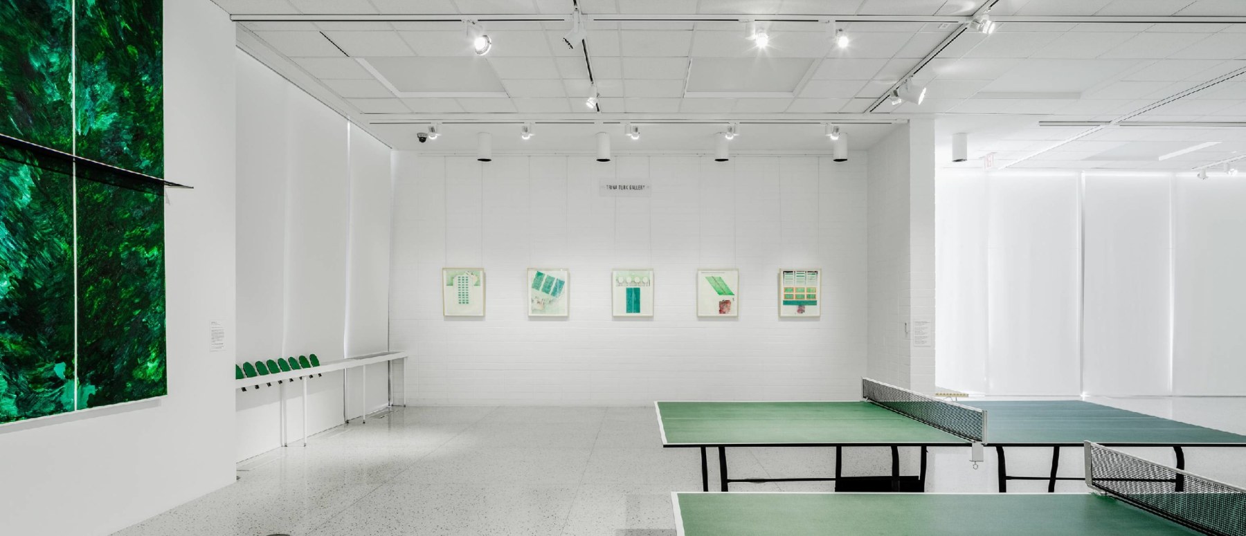 Barbara Stauffacher Solomon Breaking all the Rules at the Palm Springs Art Museum, 2019