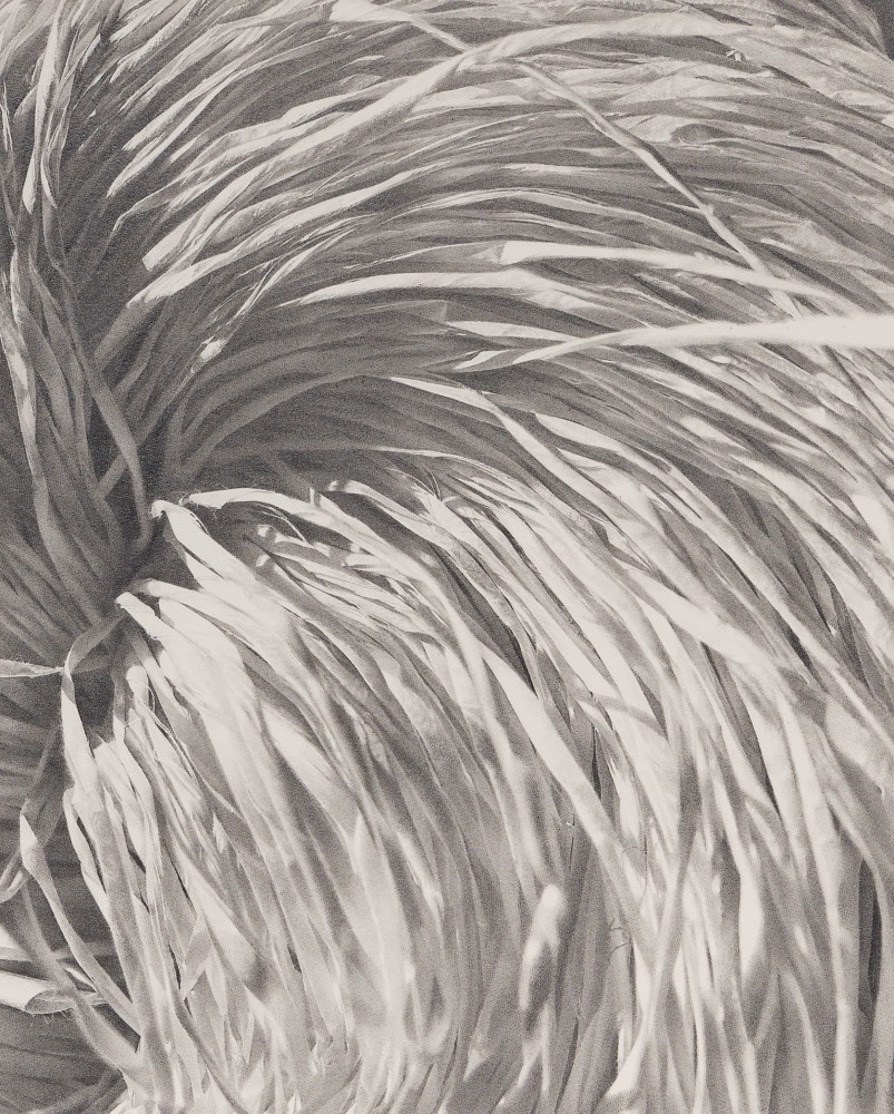 Rosana Castrillo Diaz 12/28/22, 2022 Graphite on paper Framed Dimensions: 19 7/8 x 18 3/8 x 1 1/2 inches 50.5 x 46.7 x 3.8 cm Paper Dimensions: 16 1/2 x 15 inches 41.9 x 38.1 cm