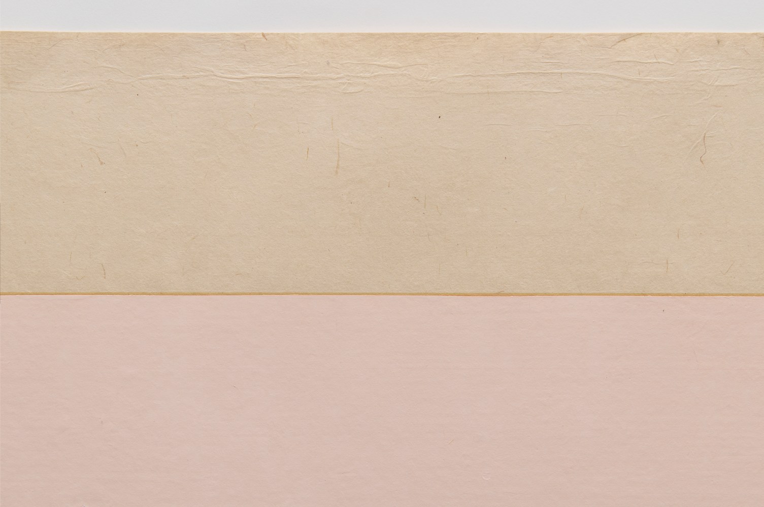 Marsha Cottrell Untitled (Pink), 2025 Archival pigment-based ink on digital ground on paper, unique Framed Dimensions: 36 1/8 x 52 1/2 x 1 3/4 inches 91.8 x 133.2 x 4.4 cm Paper Dimensions: 32 3/8 x 48 5/8 inches 82.1 x 123.5 cm