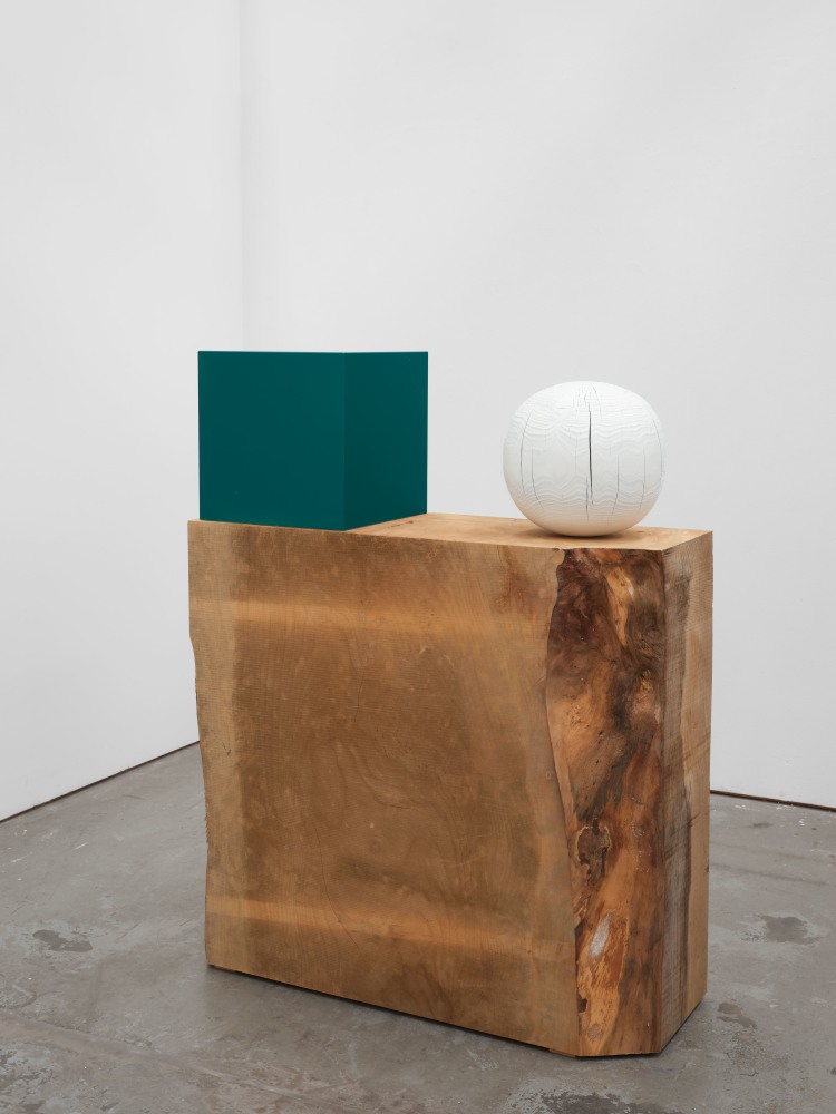 Jesse Schlesinger Untitled (new ways of thinking about all of it), 2023 Deodar Cedar, acrylic paint on Redwood (salvaged), enamel paint and fiberboard 53 1/2 x 41 1/2 x 16 inches 135.9 x 105.4 x 40.6 cm