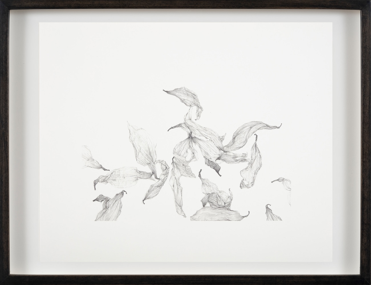 Rosana Castrillo Díaz, Untitled, 6/26/17, 2017