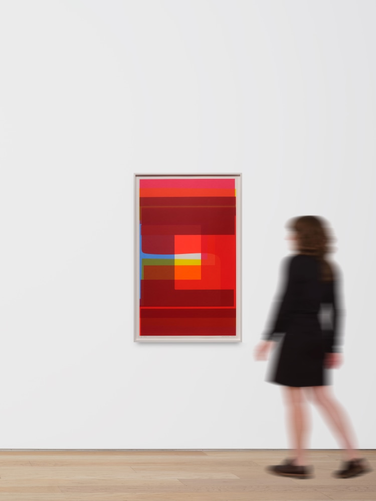 Kate Shepherd #12 Conditionals, 2023 Screen print on coventry rag paper, unique Framed Dimensions: 41 3/4 x 26 3/4 x 1 3/4 inches Paper Dimensions: 40 x 25 inches 101.6 x 63.5 cm