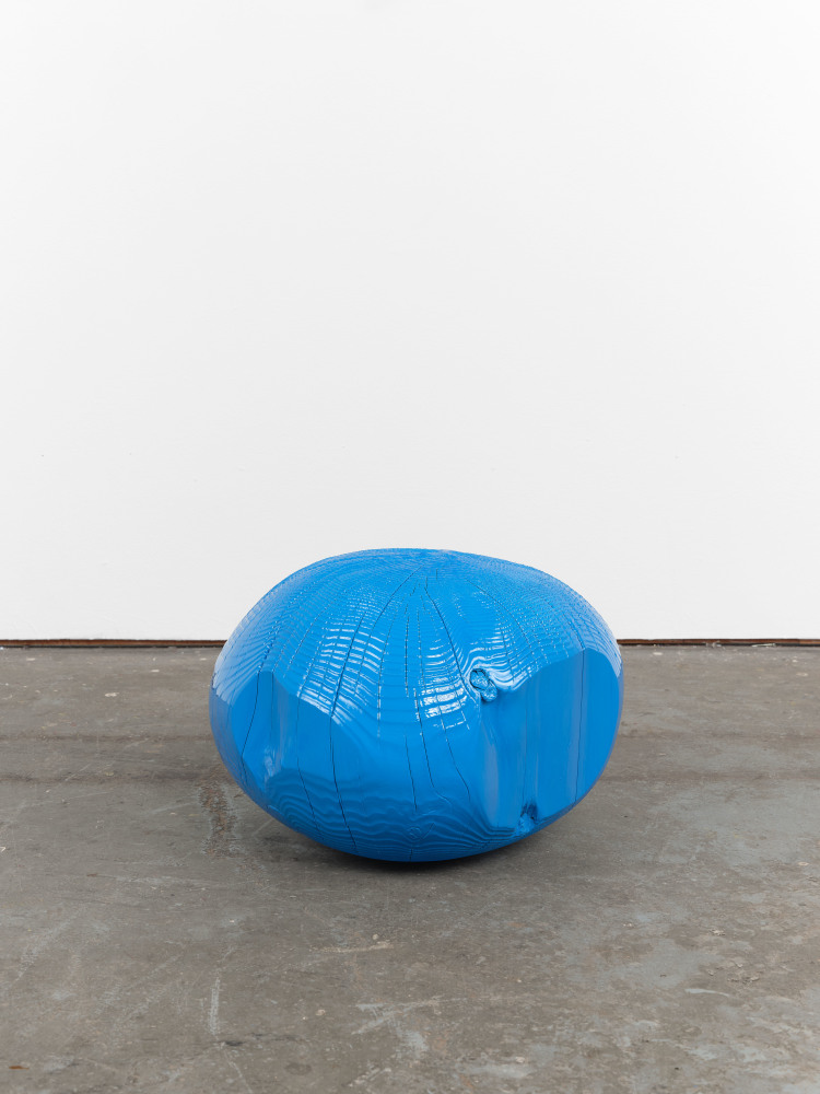 Jesse Schlesinger Untitled (c.o.), 2024 Monterey cypress, enamel paint 15 x 13 x 10 inches 38.1 x 33 x 25.4 cm