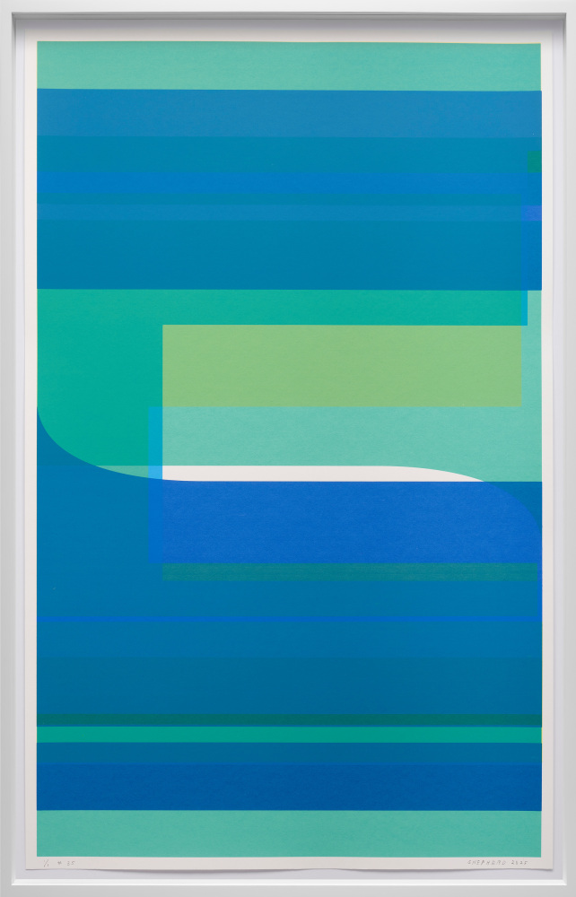 Kate Shepherd #12 Conditionals, 2023 Screen print on coventry rag paper, unique Framed Dimensions: 41 3/4 x 26 3/4 x 1 3/4 inches Paper Dimensions: 40 x 25 inches 101.6 x 63.5 cm