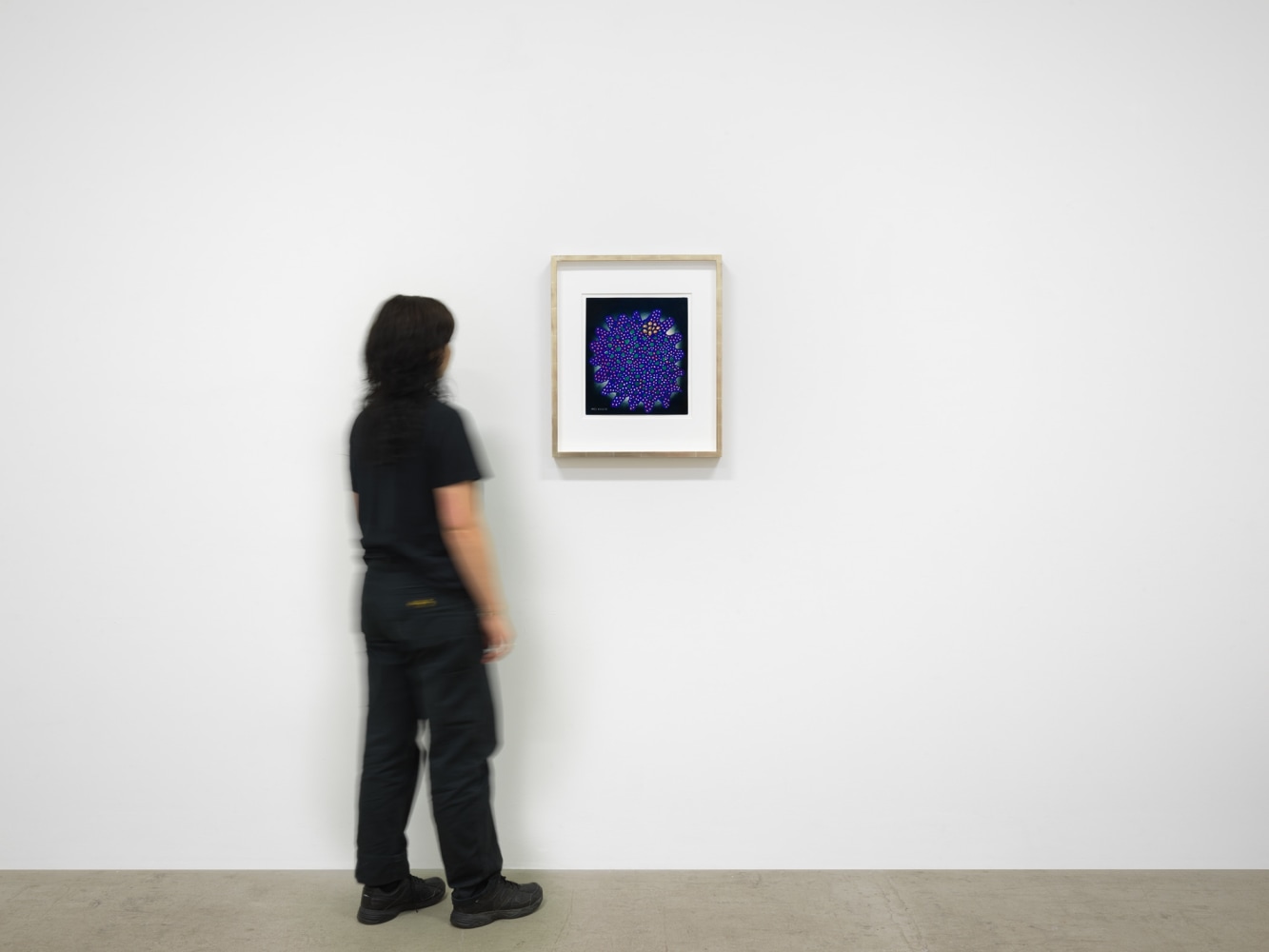 Yayoi Kusama Nets Flower no. Q121, 1953 / 1964 Gouache on paper 13 3/8 x 11 5/8 inches 33.5 x 29.5 cm