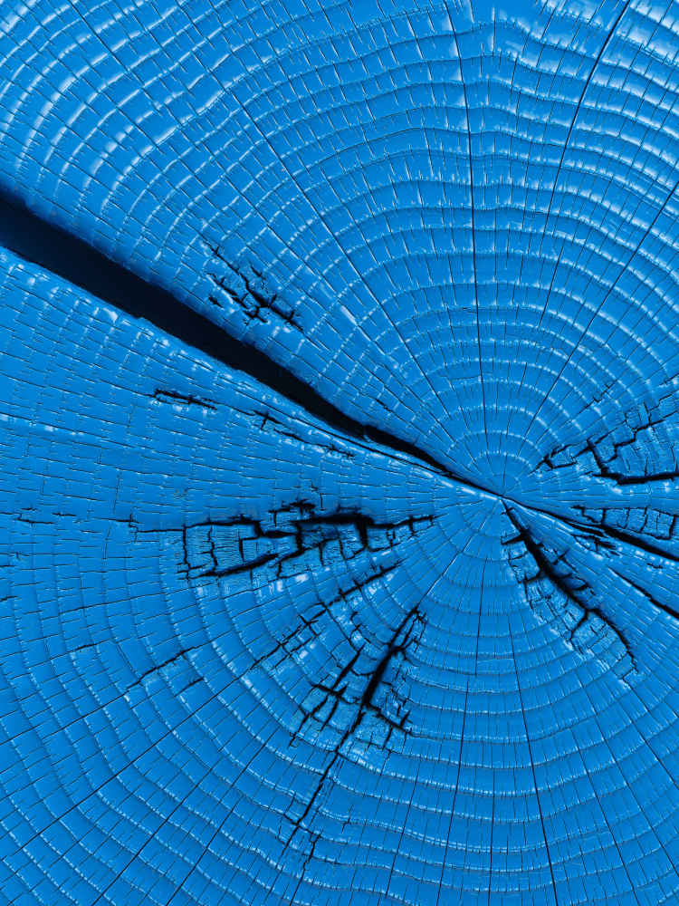 Jesse Schlesinger Untitled, 2023 Redwood (salvaged), enamel paint 37 x 37 x 10 inches 94 x 94 x 25.4 cm