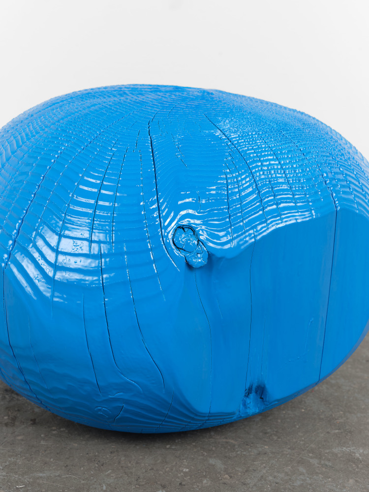 Jesse Schlesinger Untitled (c.o.), 2024 Monterey cypress, enamel paint 15 x 13 x 10 inches 38.1 x 33 x 25.4 cm