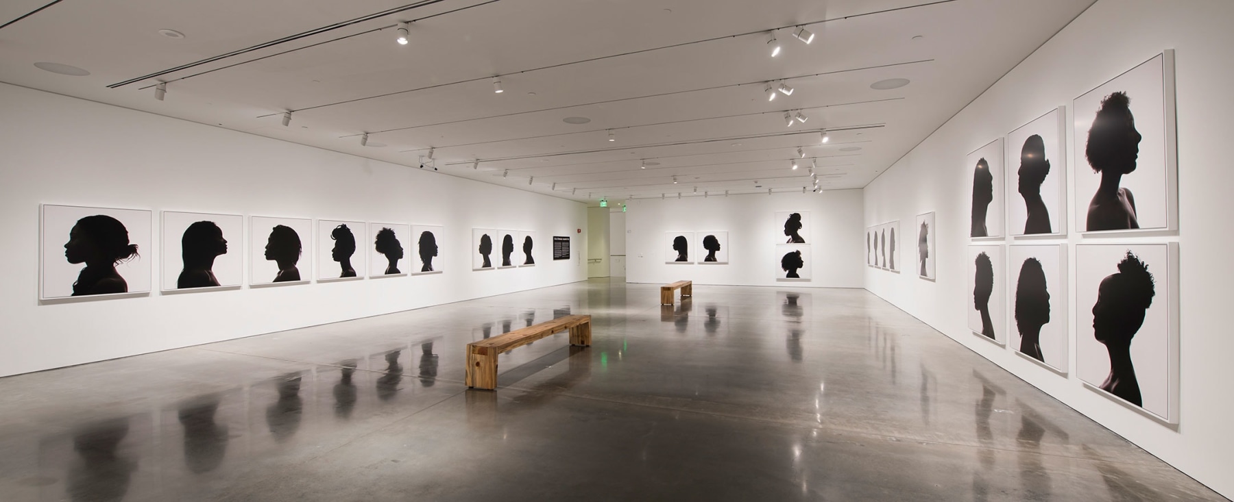 Erica Deeman, Installation view of Erica Deeman: Silhouettes, 2017, Berkeley Art Museum and Pacific Film Archive​, ​Berkeley, CA