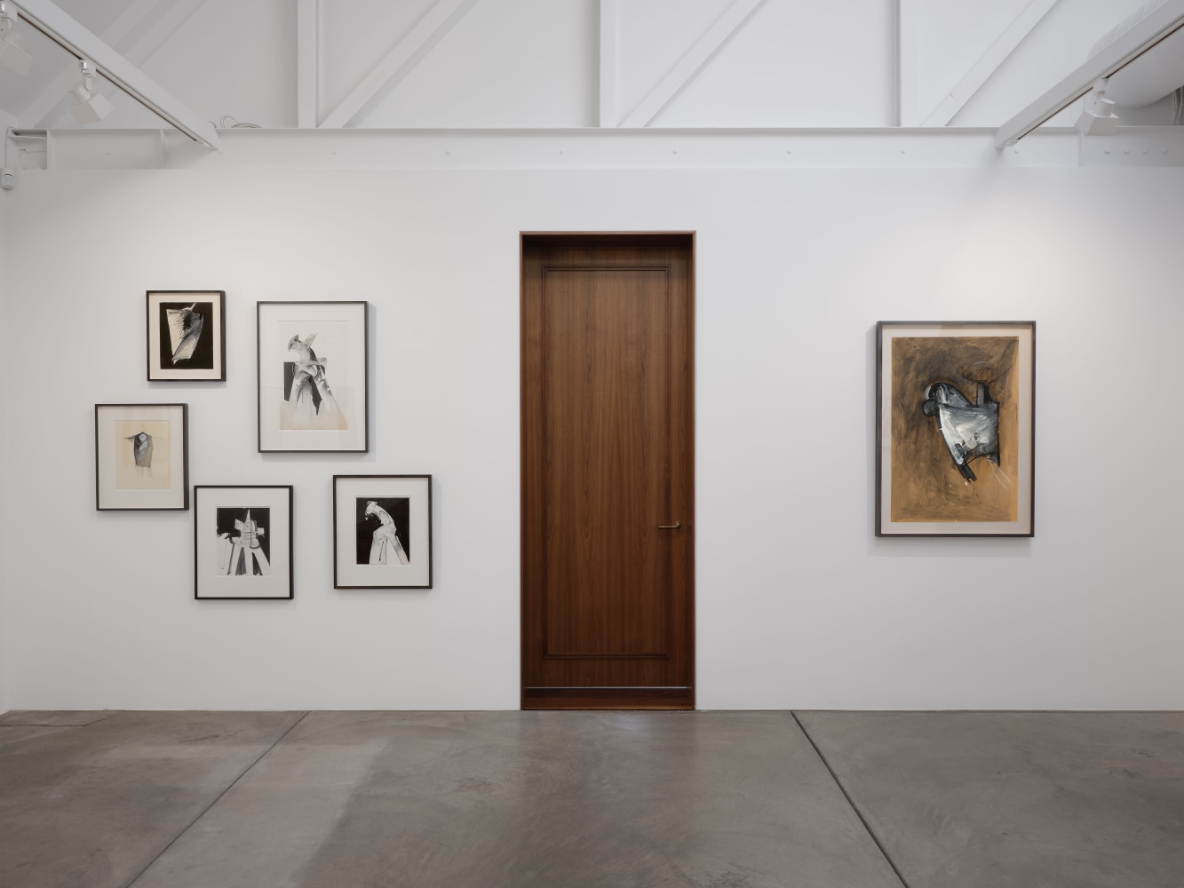 Anthony Meier In the Shadow of Mt Tam installation view