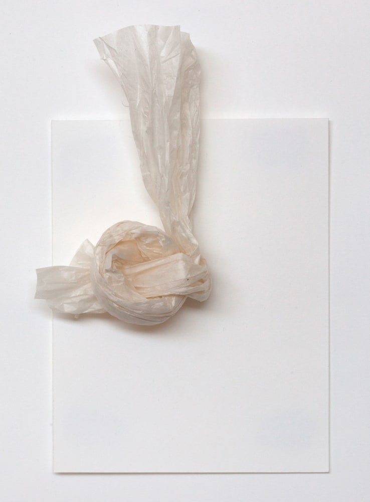 Rosana Castrillo Díaz, Untitled, 2014
