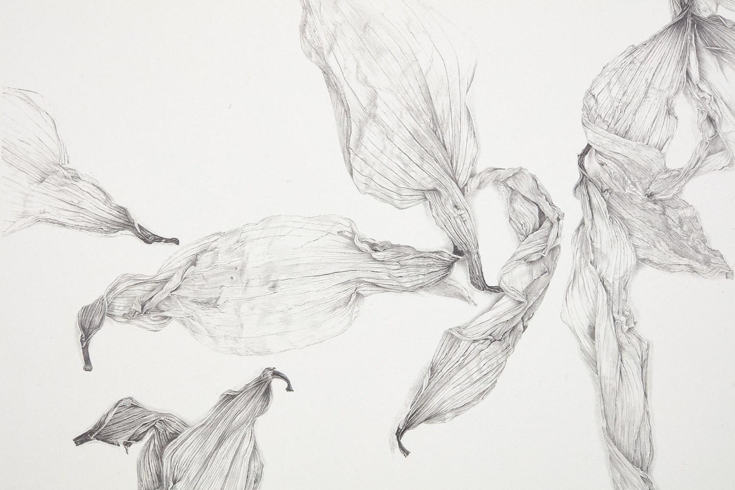 Rosana Castrillo Díaz, Untitled, 6/26/17, 2017