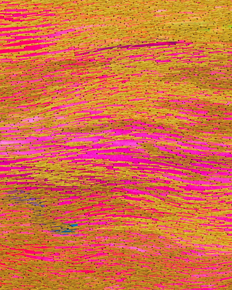 Jessie Henson Untitled, 2023 Polyester thread and acrylic gouache on paper Framed Dimensions: 17 5/8 x 13 3/8 x 1 5/8 inches 44.8 x 34 x 4.1 cm Paper Dimensions: 15 1/4 x 11 inches 38.7 x 27.9 cm