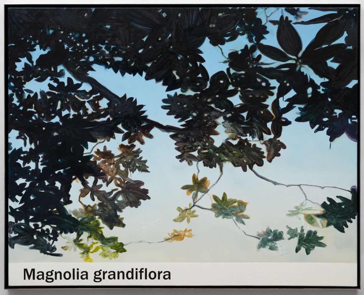 Rob Reynolds  &quot;Magnolia&quot;, 2021  Oil, alkyd and acrylic polymer paint on canvas in welded aluminum artist's frame,  Framed Dimensions:  48 3/4 x 60 3/4 inches