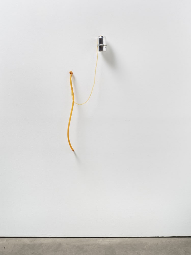 Lucia Nogueira
Untitled, 1989
Latex, metal, gasoline
40 1/8 x 16 7/8 x 4 inches
(102 x 43 x 10 cm)