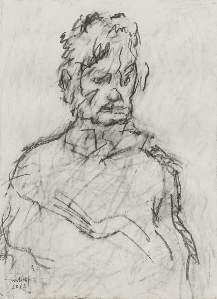 Frank Auerbach
Portrait of Julia, 2012
Graphite and pencil on paper
30 1/2 x 22 1/2 inches
(77.5 x 57.1 cm)
Private Collection