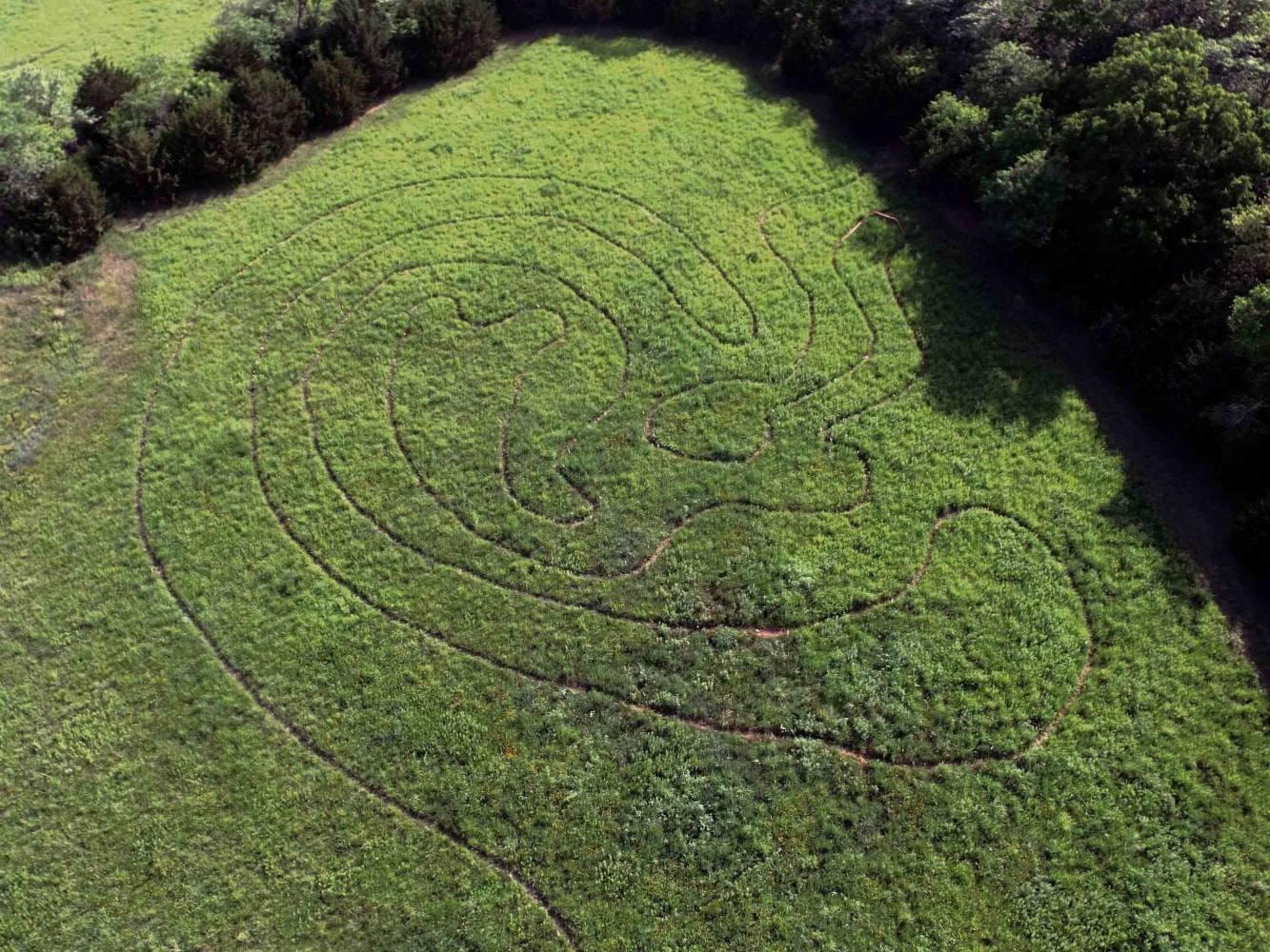 Janine Antoni
here-ing (2020-Present) is a labyrinth shaped like the anatomy of a human ear walked into three fields.
Made in partnership with the Kansas Biological Survey &amp;amp; Center for Ecological Research and The Spencer Museum of Art at the University of Kansas.
Photo: Dan Hughes