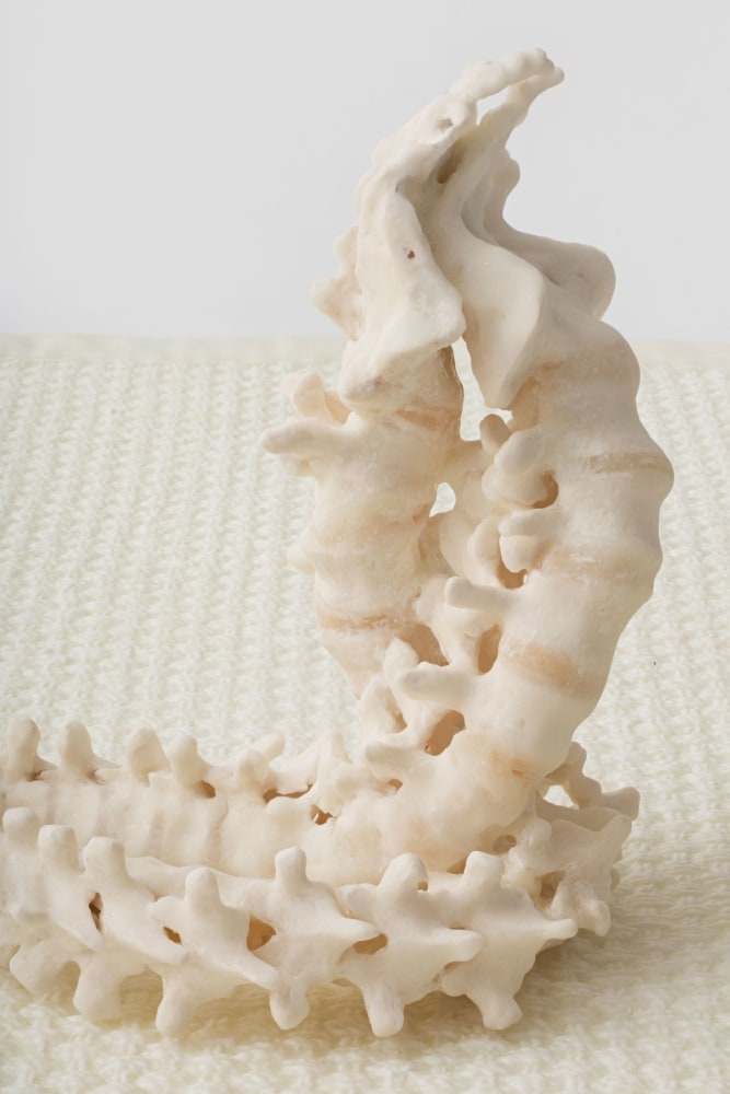 Janine Antoni
to twine, 2015
​Detail
Polyurethane resin
Edition of 3 and 1 artist&amp;#39;s proof
18 x 48 1/2 x 72 inches
(45.7 x 123.2 x 182.9 cm)