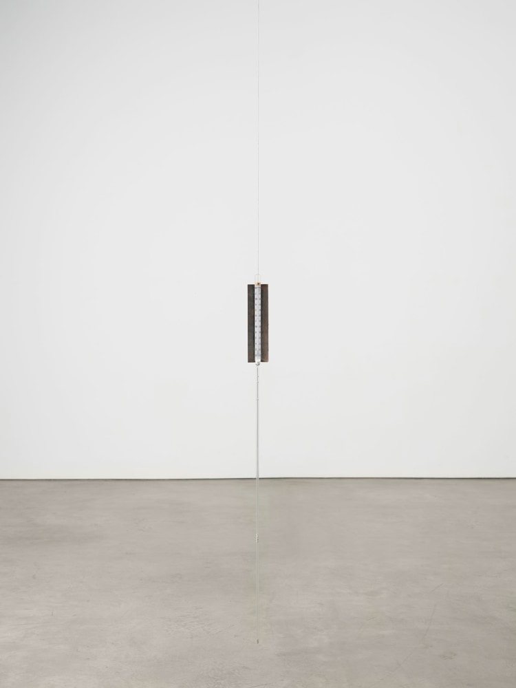 Lucia Nogueira
Untitled, 1988
Thermometer, cast iron, steel cable, elastic
Dimensions variable