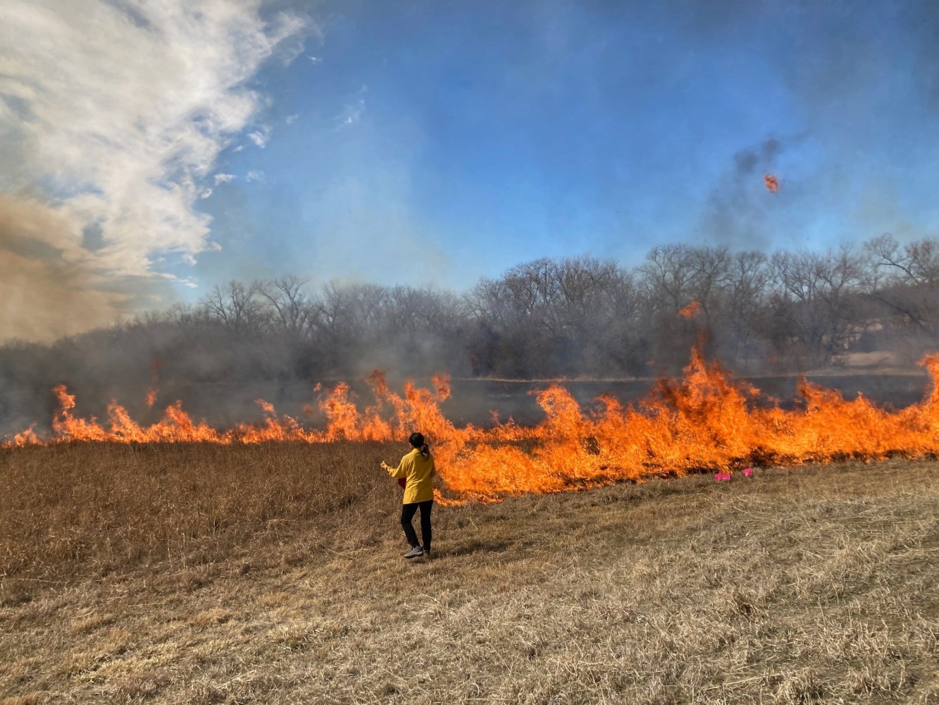 Dr. Melinda Adams of San Carlos Apache Tribe, guiding a cultural burn of the field.