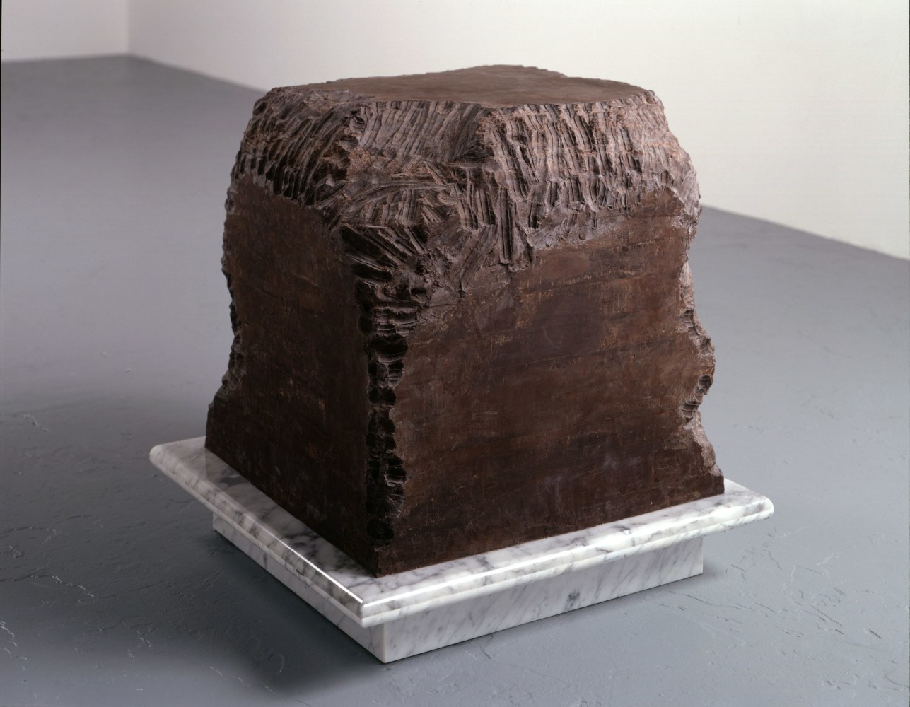Janine Antoni
Gnaw, 1992
600 lbs&amp;nbsp;of chocolate and 600 lbs of lard gnawed by the artist
45 heart-shaped packages for chocolate made from chewed chocolate removed from the chocolate cube and 150 lipsticks made with pigment, beeswax and chewed lard removed from the lard cube