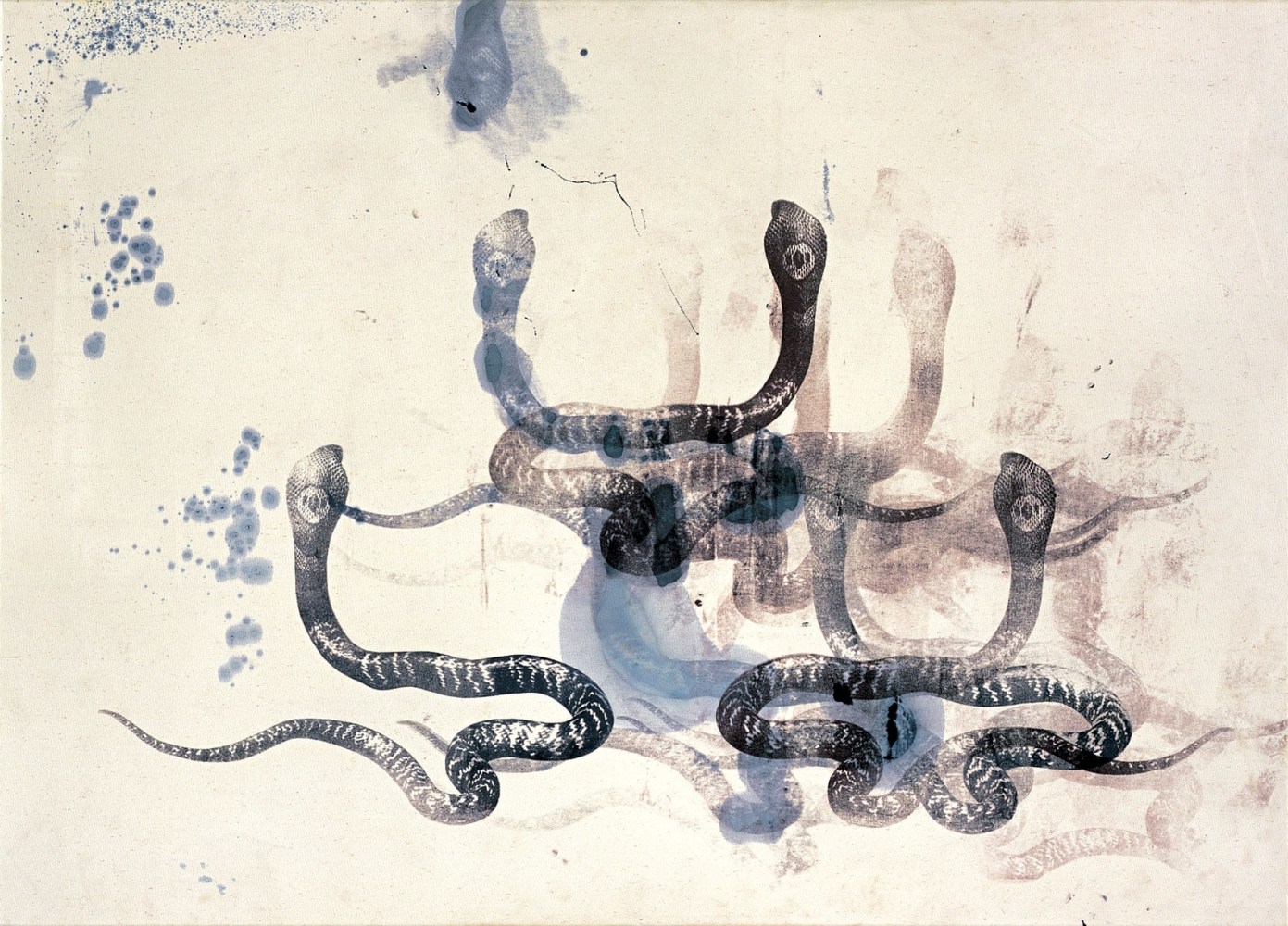 Philip Taaffe
Cobra Epiphany, 1996
Mixed media on canvas
46 x 64 inches
(116.8 x 162.6 cm)