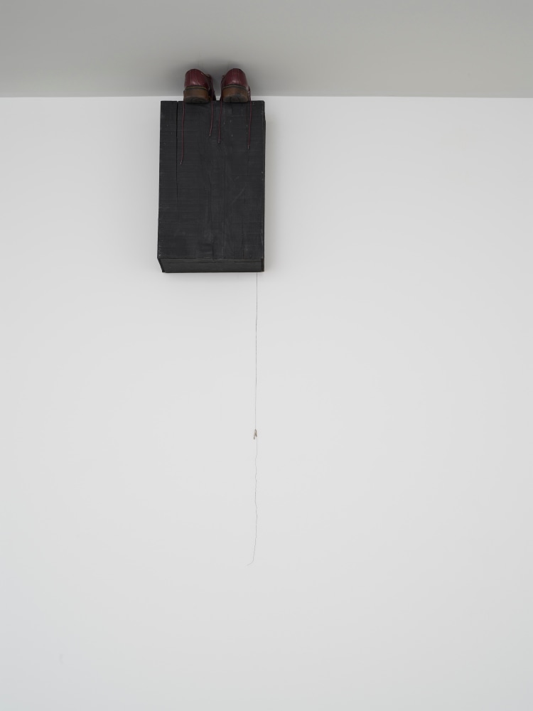 Lucia Nogueira
Untitled, 1997
Wood, Dr. Martens shoes, thread, crocodile clip
Box dimensions: 20 x 12 3/4 x 7 1/4 inches
(50.8 x 32.4 x 18.4 cm)