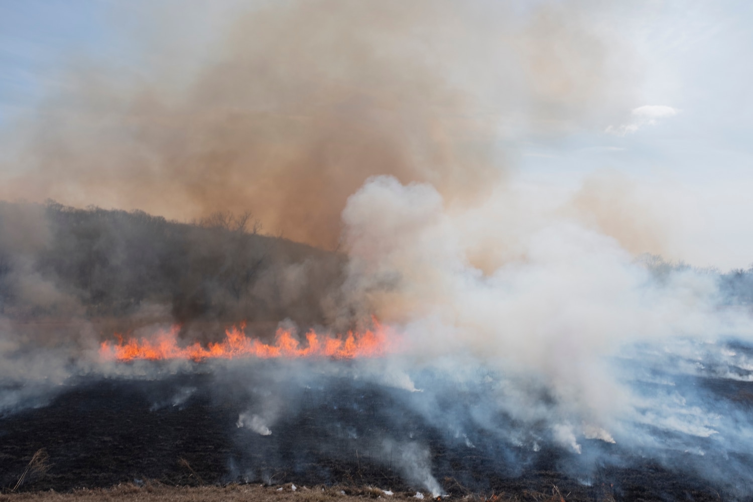 Smoke over the burning field of here-ing.
&amp;copy; Spencer Museum of Art, The University of Kansas
Photo: Mike Gunnoe