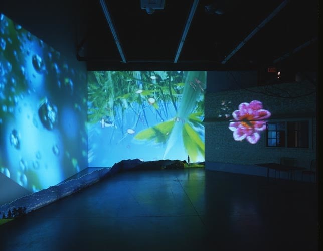 Pipilotti Rist
Herbstzeitlose (Saffron Flower or Fall Time Less), 2004
4 projectors, 4 DVD players, 2 sound systems, part of a wooden house, branch from a Maple tree, backlit panorama (photo print on Plexiglas), table and 3 chairs
Dimensions variable
Installation view
September 11 &amp;ndash; October 23, 2004
Luhring Augustine, New York