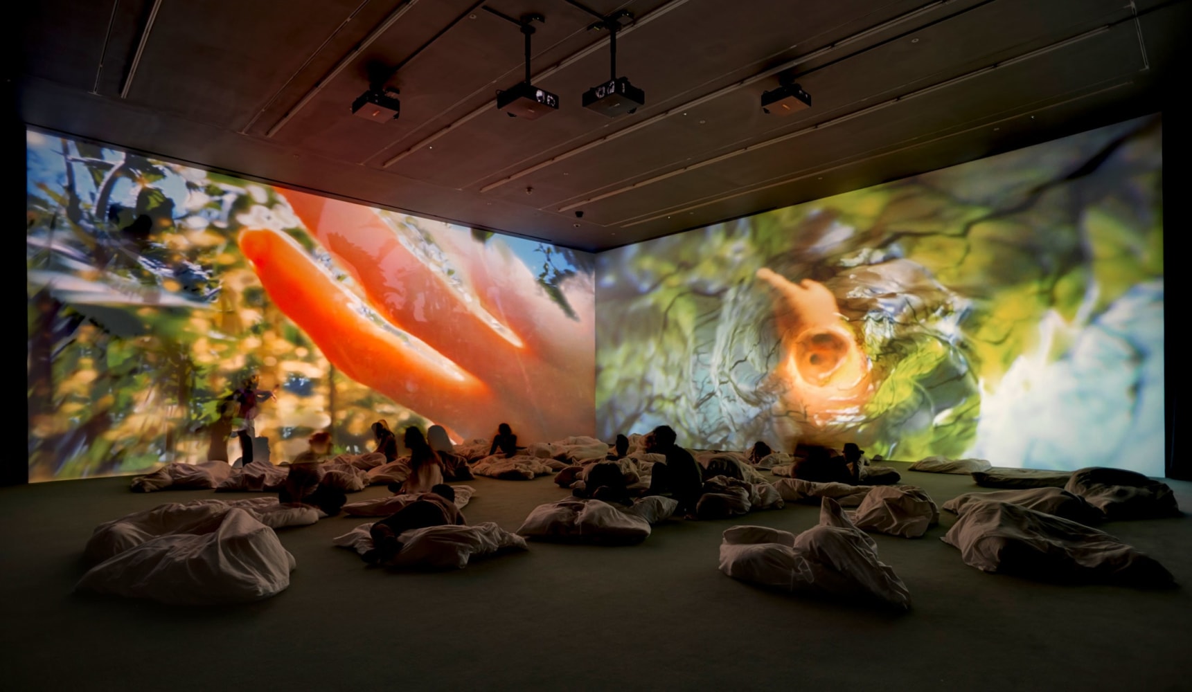 Pipilotti Rist
Worry Will Vanish Horizon (from the Worry Work Family), 2014
Two-channel video and sound installation, color, with carpet and white duvets
Duration: 10 minutes, 25 seconds
Dimensions variable