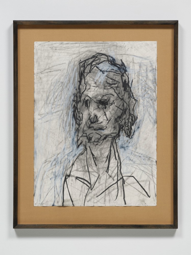 Frank Auerbach
Head of Ruth Bromberg, 2003
Pencil, graphite, and chalk on paper
30 1/8 x 22 1/2 inches
(76.5 x 57.1 cm)

Private Collection