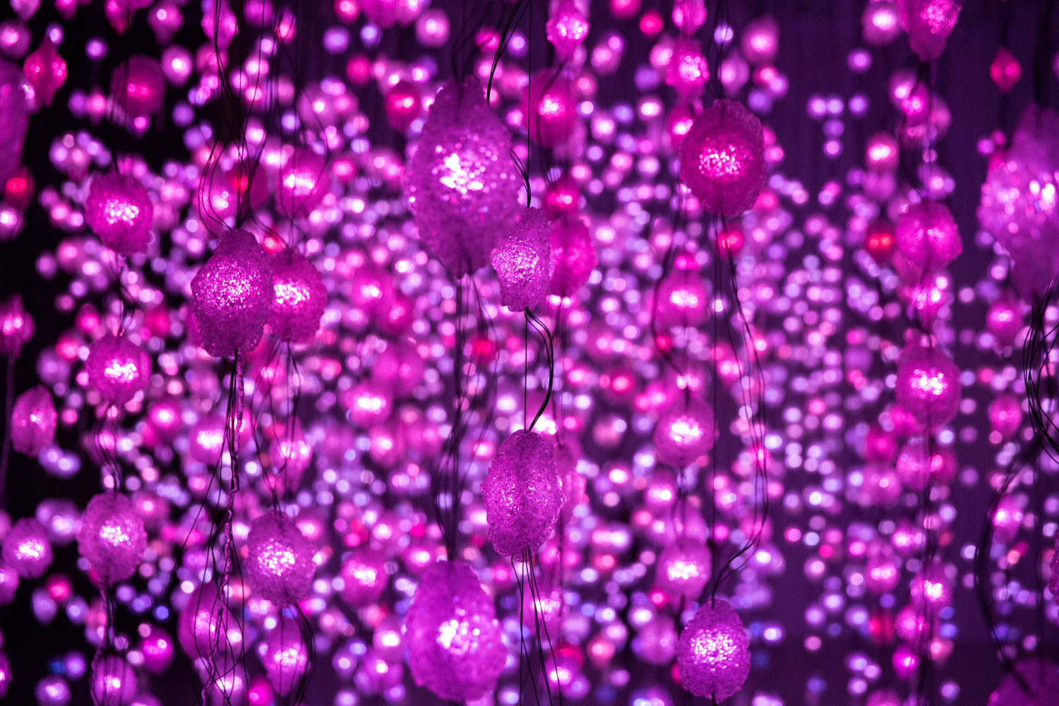 Pipilotti Rist
Pixelwald (Pixel Forest), 2016
Hanging LED light installation and media player
Duration: 35 minutes
Dimensions variable
Installation view,&amp;nbsp;MFA Houston, 2017
Photo: The Storyhive&amp;nbsp;