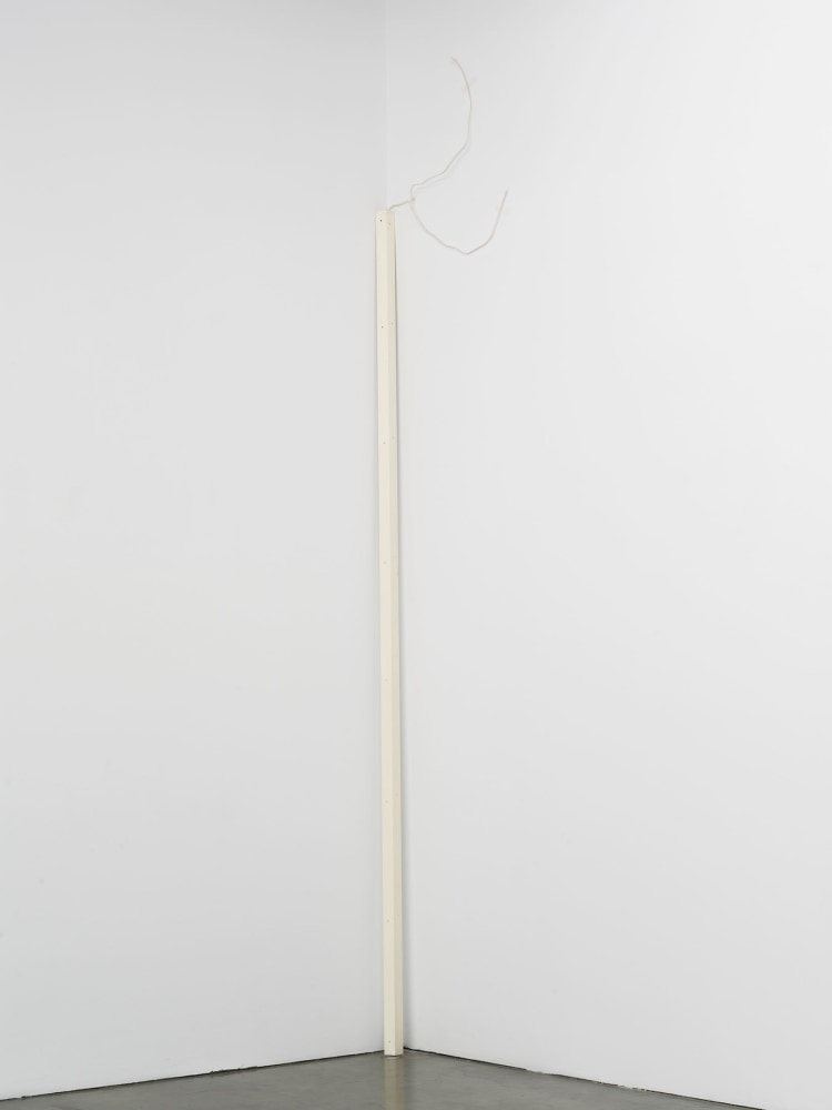 Lucia Nogueira
Snail, 1995
Steel angle-iron, radio aerial&amp;nbsp;
147 5/8 x 43 3/8 x 19 5/8 inches
(375 x 110.1 x 50 cm)