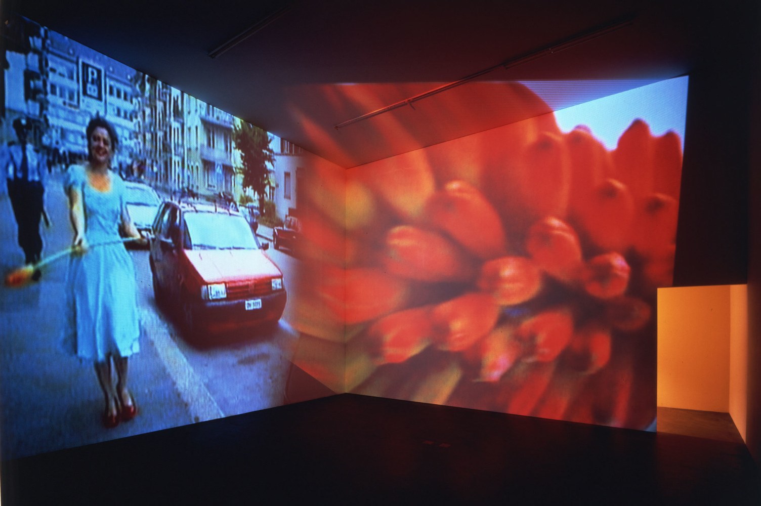 Pipilotti Rist
Ever Is Over All, 1997
Two-channel video, sound
Duration: 8 minutes, 25 seconds