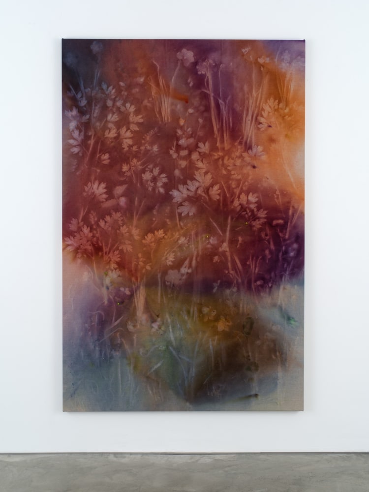 Sam Falls

Bleeding Heart

2021

Pigment on canvas

79 x 51 1/2 inches (200.7 x 130.8 cm)

SFA 437







