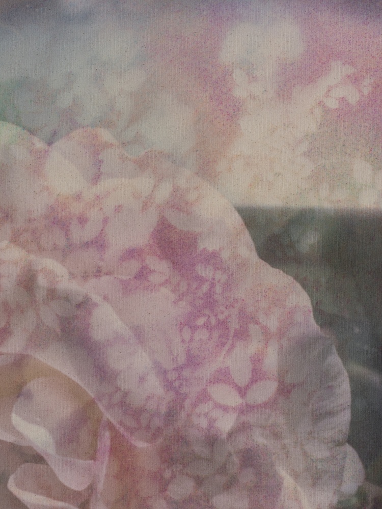 Sam Falls

Roses (Departure)

2021

Pigment on archival inkjet print on canvas

42 x 31 inches (106.7 x 78.7 cm)

SFA 427

