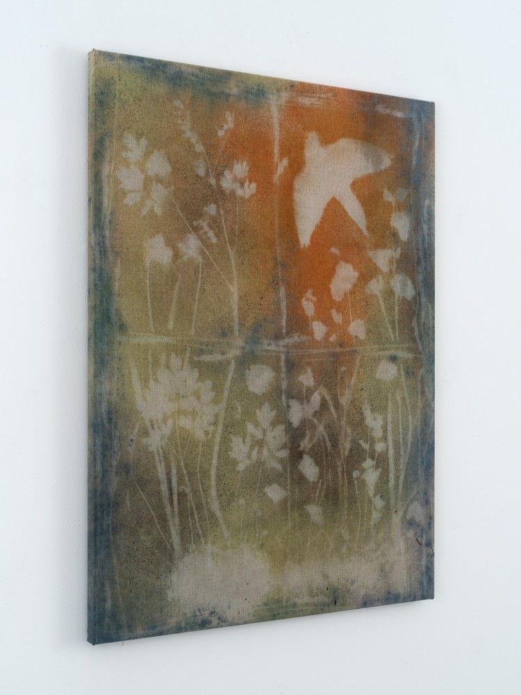 Sam Falls

Mourning Dove

2021

Pigment on canvas

41 x 31 inches (104.1 x 78.7 cm)

SFA 433







