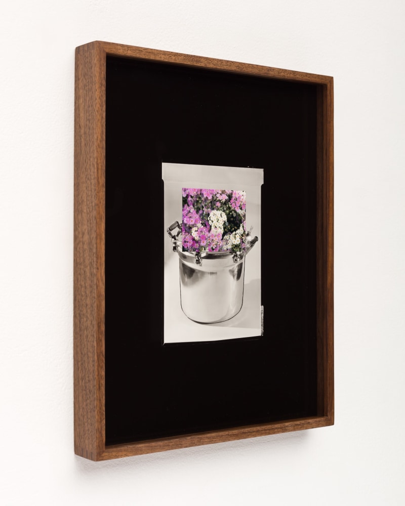 Elad Lassry

Untitled (Pot, Cosmos)

2019

Silver gelatin print, C-print, walnut frame

14 1/4 x 11 1/4 x 1 1/2 inches (36.2 x 28.6 x 3.8 cm) framed

Unique

EL 500

$18,000

&amp;nbsp;

INQUIRE