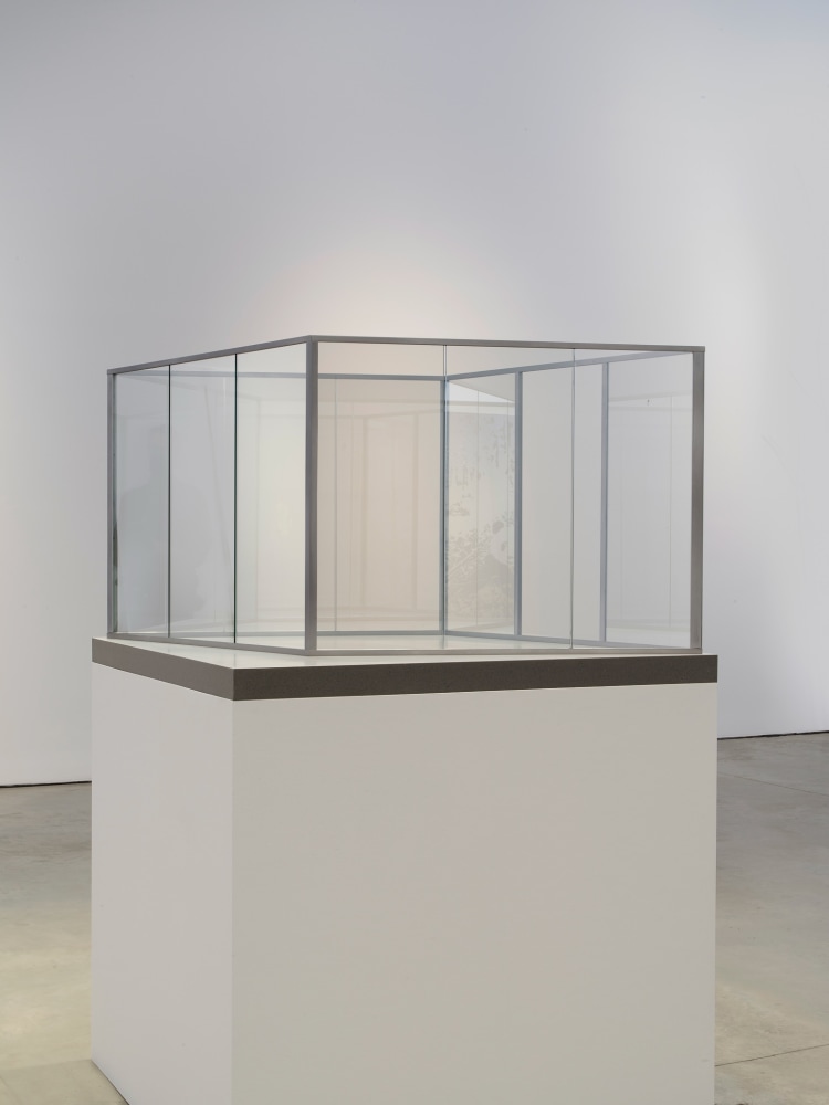 DAN GRAHAM
Diamond or Swimming Pool
2019
2-way mirror glass, aluminum
28 x 42 1/8 x 42 1/8 inches (71 x 107 x 107 cm)
Edition of 3
DG 105
$85,000