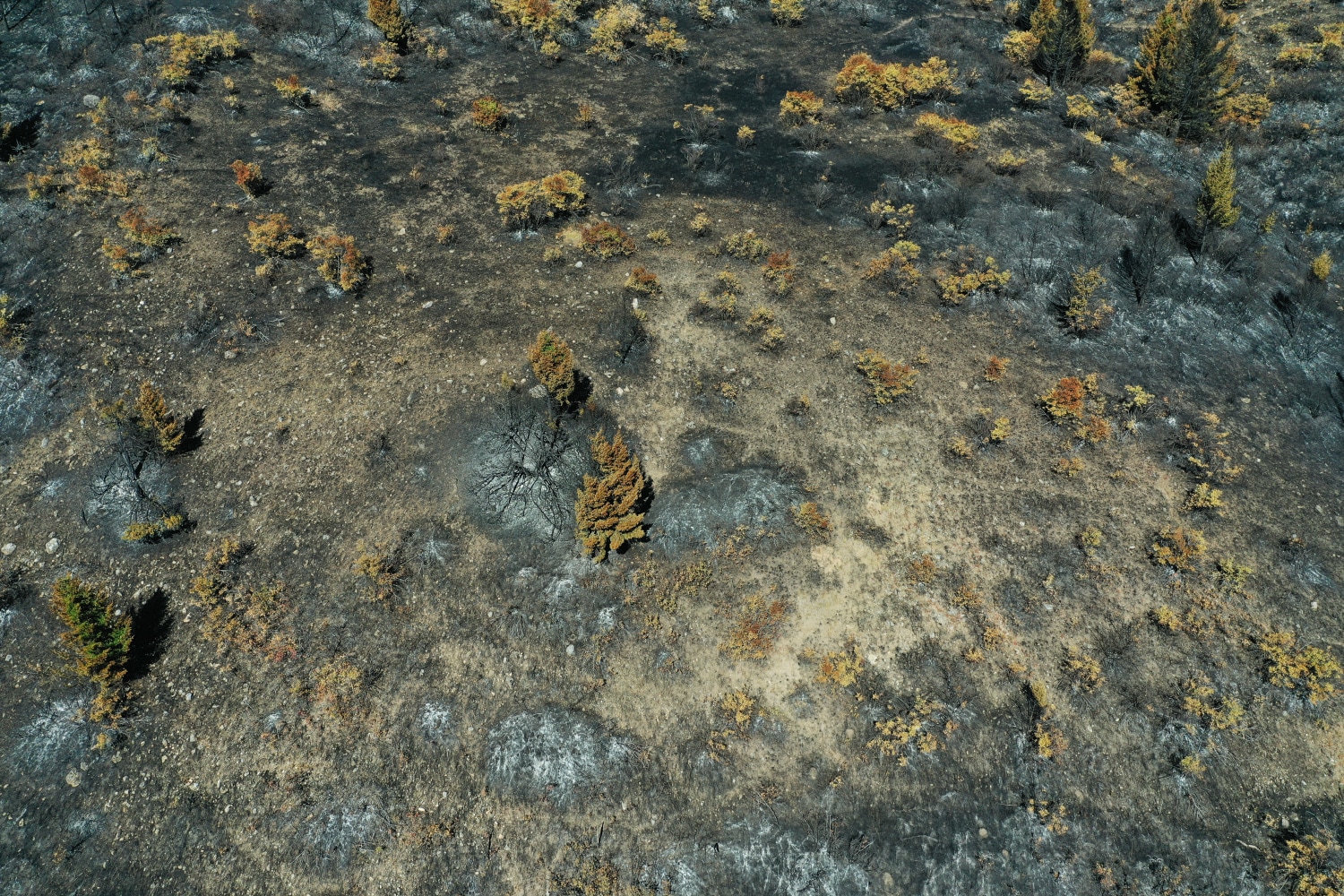 Stephen Shore

Bozeman, Montana, September 10, 2020

2020

Pigment print

18 x 27 inches (45.7 x 68.6 cm)

24 x 32 inches (61 x 81.3 cm) paper size

Edition of 3, with 2AP

SS 3321

$35,000

&amp;nbsp;

INQUIRE