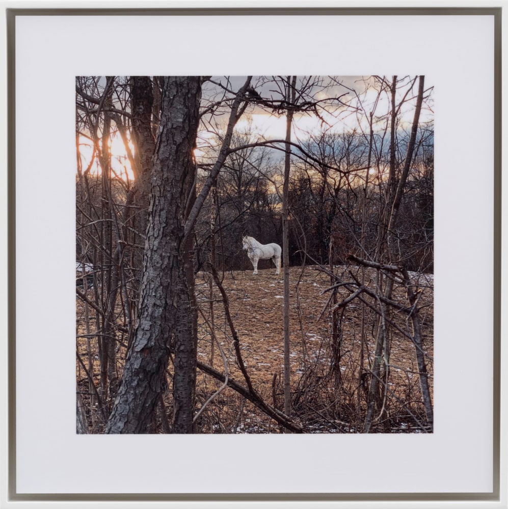 Stephen Shore

Red Hook, New York, February 10, 2020

2020 (printed 2020)

Dye sublimation print on aluminum

6 x 6 inches (15.2 x 15.2 cm)

8 x 8 inches (20.3 x 20.3 cm) print

8 1/2 x 8 1/2 inches (21.6 x 21.6 cm) framed

Unique

SS 3260

&amp;nbsp;

INQUIRE