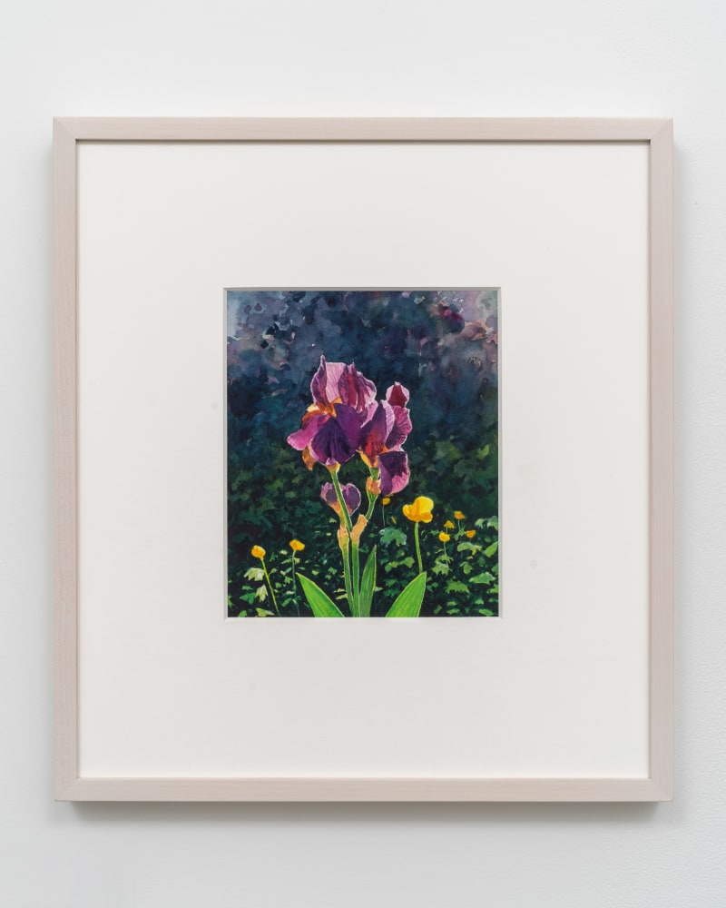 TIM GARDNER
Iris
2022
Watercolor on paper
8 7/8 x 7 1/2 inches (22.5 x 19.1 cm)
18 1/2 x 16 3/4 x 1 1/2 inches (47 x 42.5 x 3.8 cm) Framed
Signed, dated verso
TG 638
$16,000