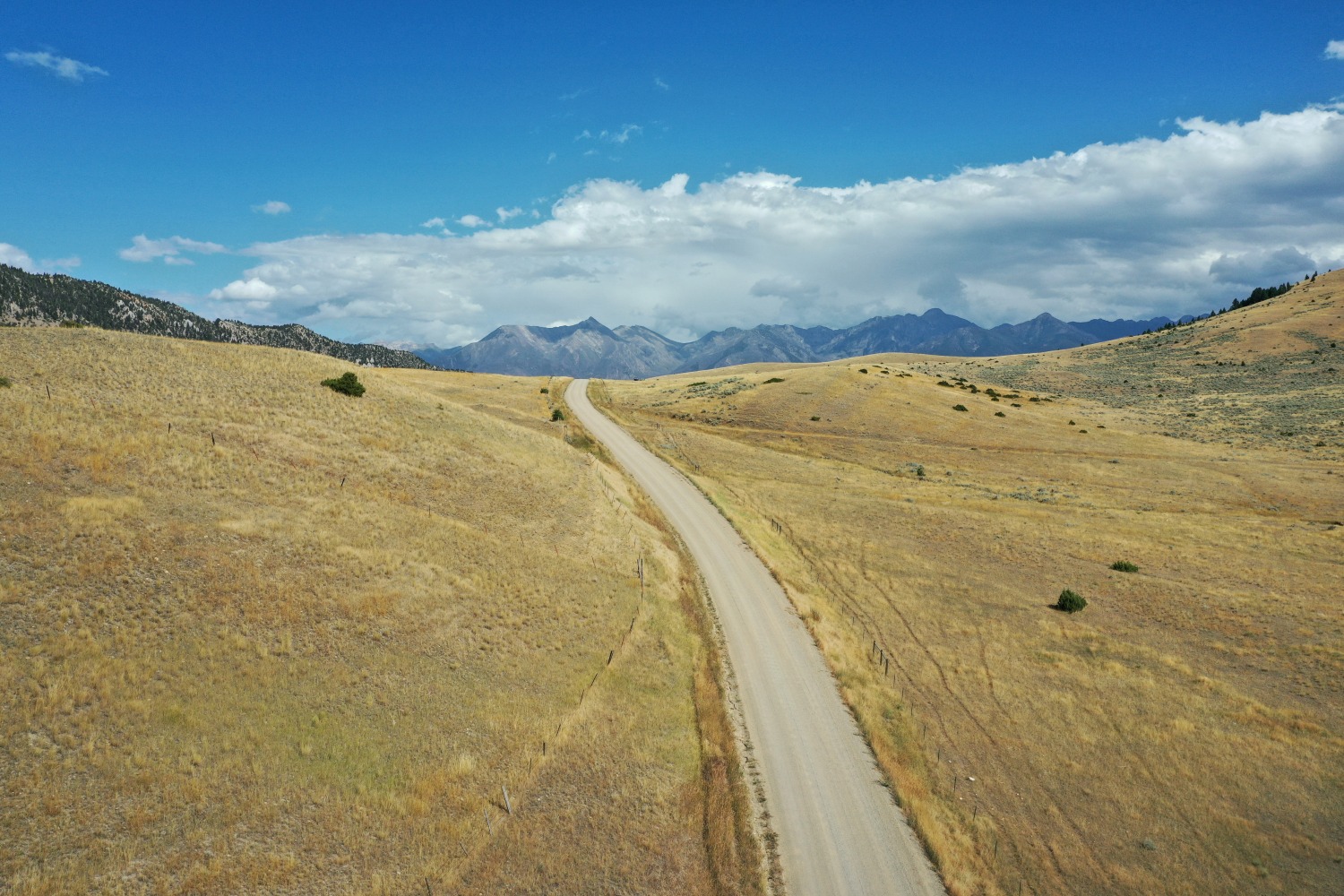 Stephen Shore

Emigrant, Montana, August 30, 2020

2020

Pigment print

18 x 27 inches (45.7 x 68.6 cm)

24 x 32 inches (61 x 81.3 cm) paper size

Edition of 3, with 2AP

SS 3317

$35,000

&amp;nbsp;

INQUIRE