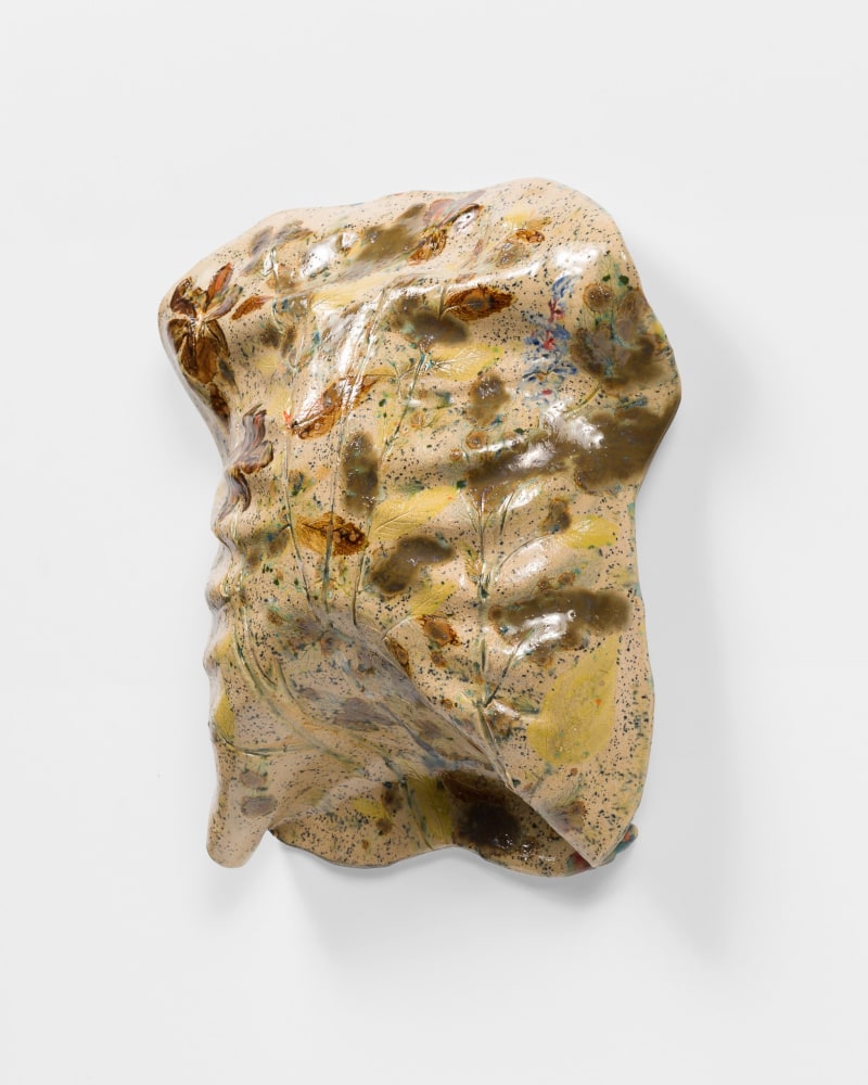 Sam Falls

Untitled

Glazed ceramic

14 x 12 x 4 1/2 inches (35.6 x 30.5 x 11.4 cm)

SFA 378