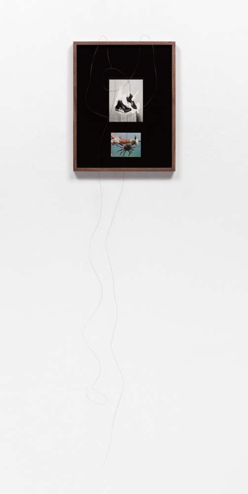 Elad Lassry

Untitled (Boots, Crab)

2018

Silver gelatin print, offset print on paper, wire, walnut frame

44 x 11 1/4 x 4 1/2 inches (111.8 x 28.6 x 11.4 cm)

Unique

EL 416

$18,000